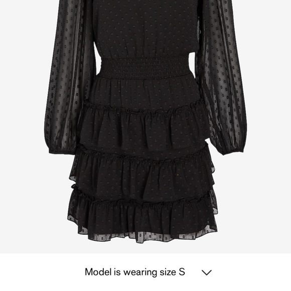 Black Sheer Sleeves Express mini dress - Picture 9 of 11